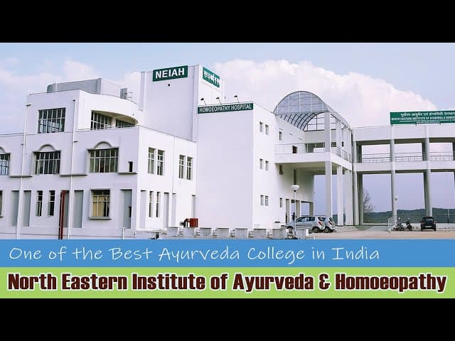 North Eastern Institute of Ayurveda and Homeopathy-image