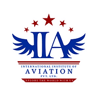 International Institute of Aviation-logo