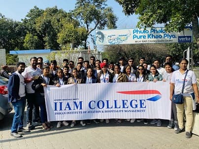 Indian Institute of Aviation and Management-image