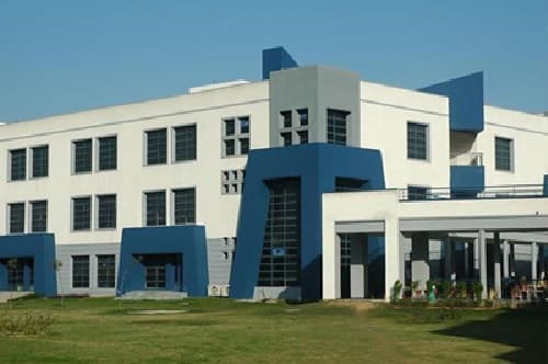 Continental Institute of International Studies-image