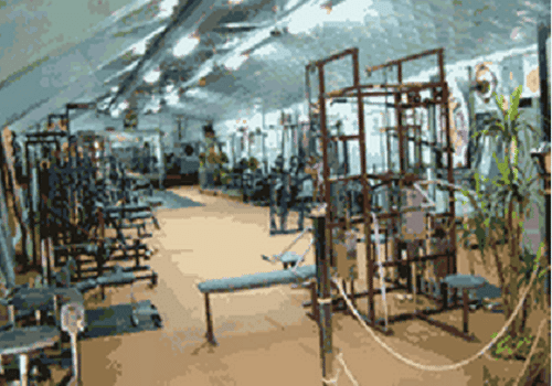 Bharatiya Sharirik Shikshan Mahavidyalaya-image