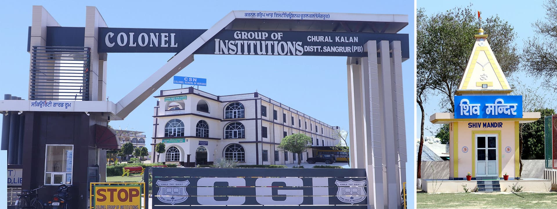 Colonel School of Nursing-image