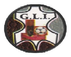 Government Leather Institute-image