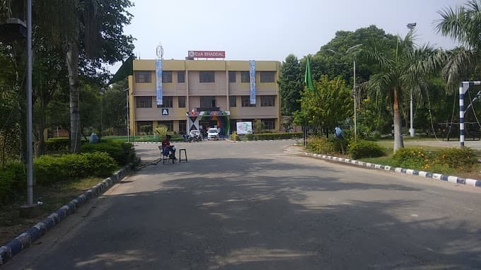 Institute of Management Studies-image