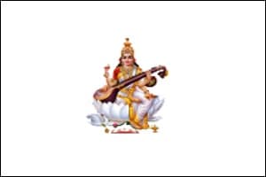 S.D.S.N Mahavidhalaya-image