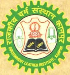Government Leather Institute-image