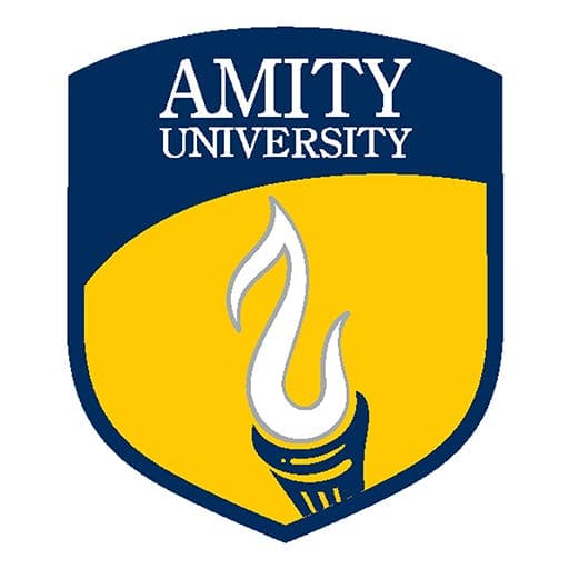 Amity Institute of Disaster Management-image