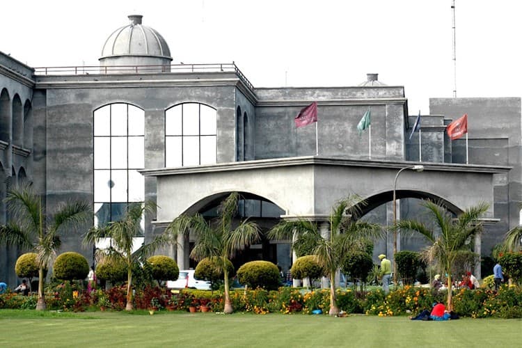 RIMT University, School of Basic & Applied Sciences-image