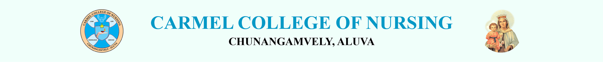 Carmel College of Nursing Chunangamvely-image