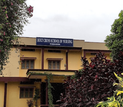 Holy Cross College of Nursing-image