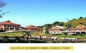 College of Dairy Science and Technology-image