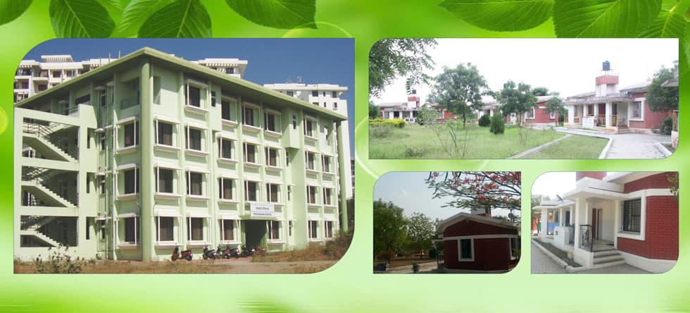 BSDT Ayurved College Pune-gallery-image-2