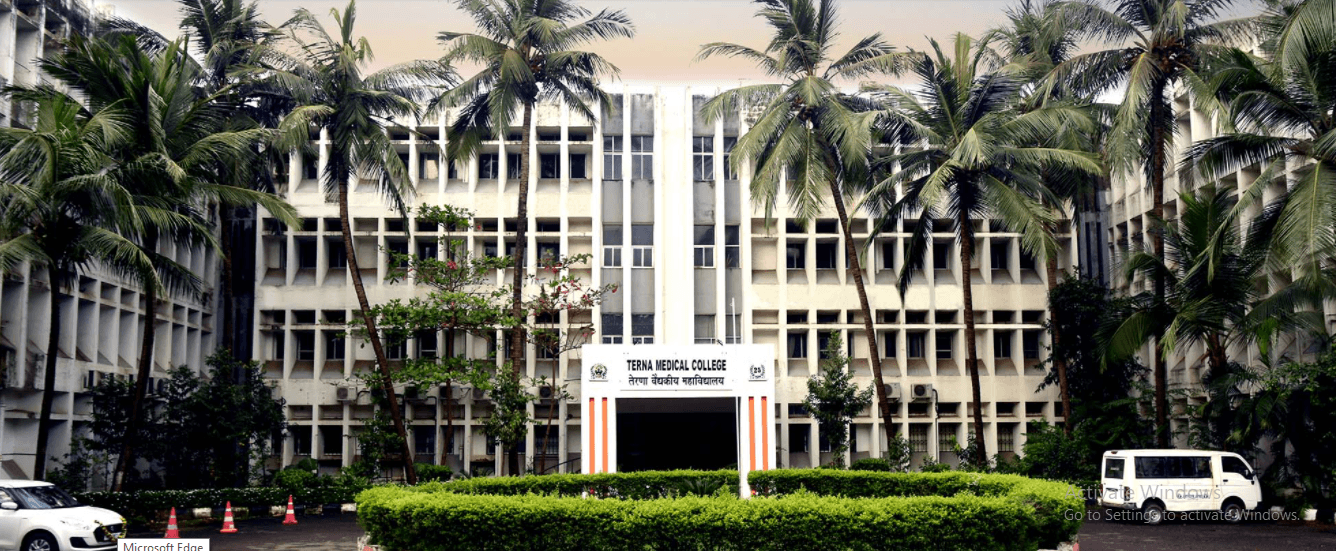 Terna Medical College-image