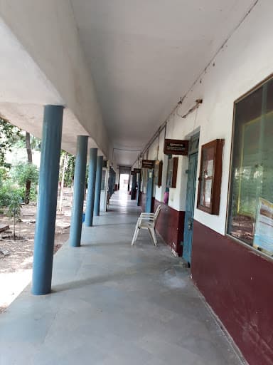 S.B. Science College-gallery-image-6