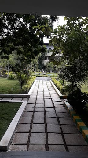 S.B. Science College-gallery-image-5