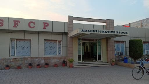 ISFCP-gallery-image-5