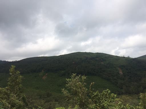 MBCET-gallery-image-5