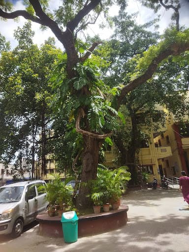 BKGC-gallery-image-7