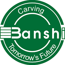 Banshi College of Education-image