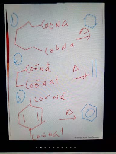 A.N. College-gallery-image-7