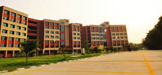 DDUC-gallery-image-0