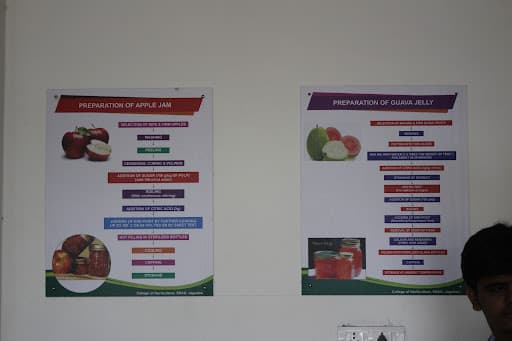 PDPIS-gallery-image-5