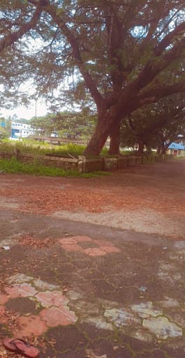 S.D. College-gallery-image-5