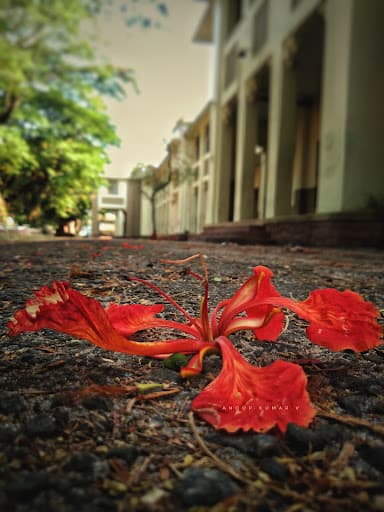 S.D. College-gallery-image-7