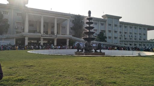 SSIT-gallery-image-7