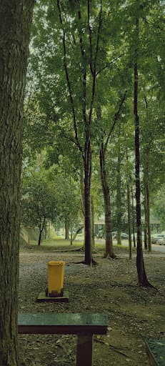 STCP-gallery-image-6