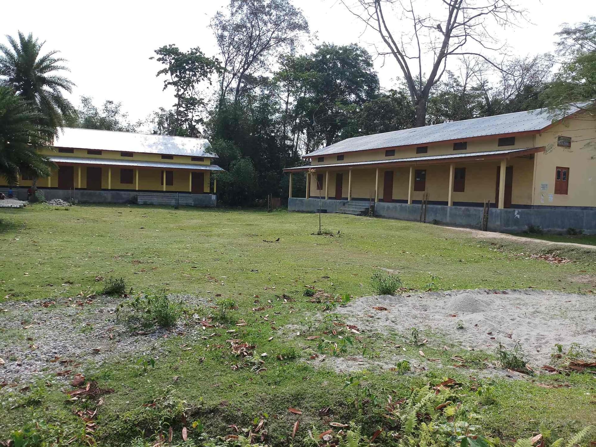 Mangaldai Commerce College-image