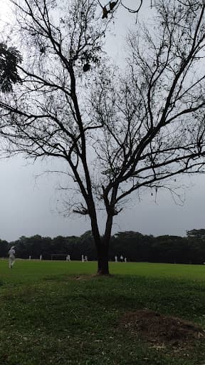 St. Paul's College-gallery-image-7