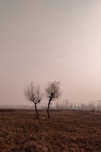 CUKashmir-gallery-image-7