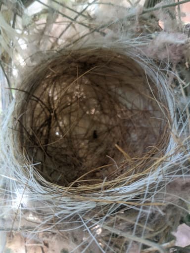 JNVU-gallery-image-6