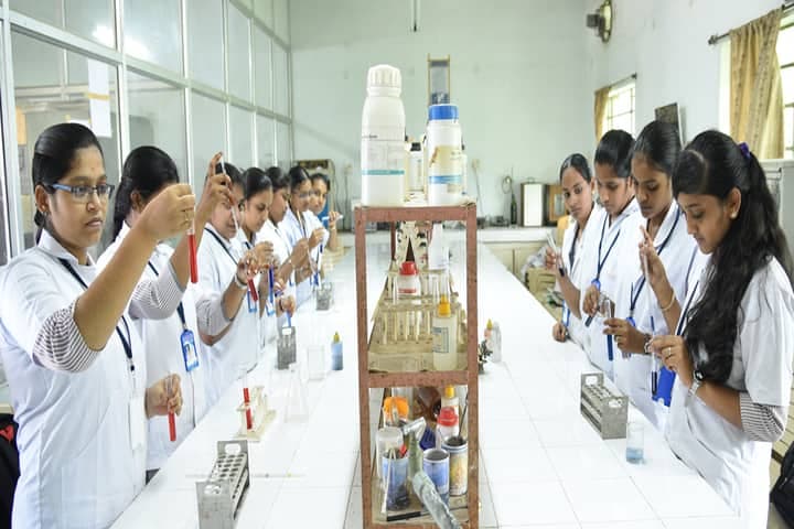 Alluri Bapineedu and Pendyala Ranga Rao Degree and PG College-gallery-image-3