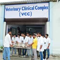 Arawali Veterinary College-image