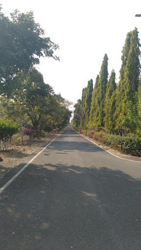 SGBAU-gallery-image-5