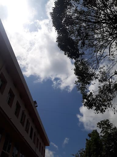 St. Joseph's College, Thrissur-gallery-image-5