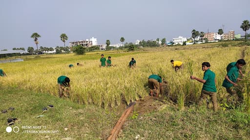 B.R. College of Education-gallery-image-6