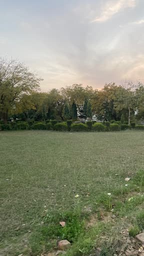 N.I.T.M. Gwalior-gallery-image-7