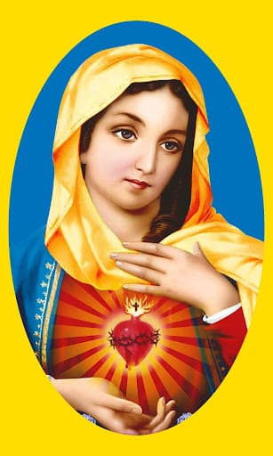 Idhaya College for Women-gallery-image-7