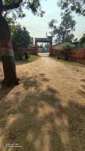 C.C. College-gallery-image-6