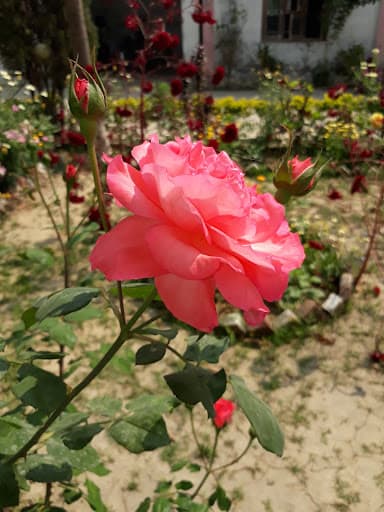 LBPGC Bahraich-gallery-image-5