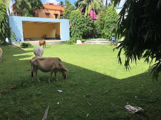 Balurghat Women''s College-gallery-image-5