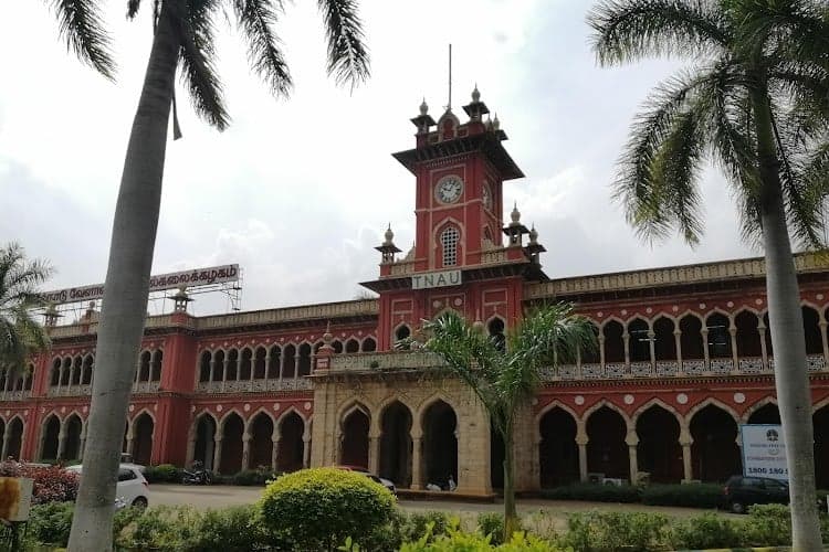Agricultural College and Research Institute-image