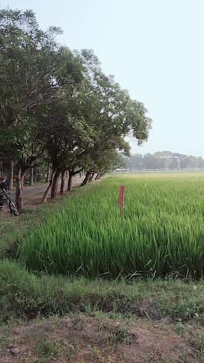 ADAC&RI Trichy-gallery-image-7