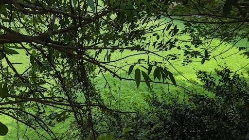 JSS Institute of Naturopathy and Yogic Sciences-gallery-image-7