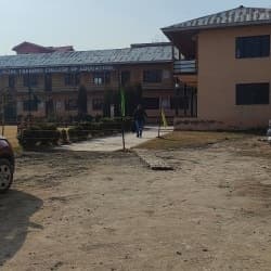 Dr. Iqbal Teacher Training College of Education-image