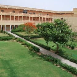 SCP Jhunjhunu-gallery-image-4