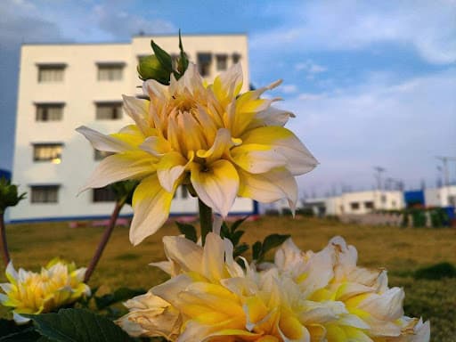 RMGEC Purulia-gallery-image-6